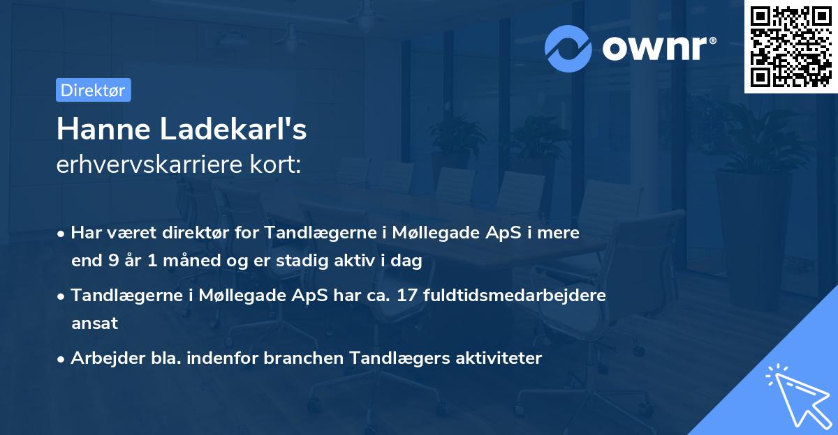 Hanne Ladekarl's erhvervskarriere kort