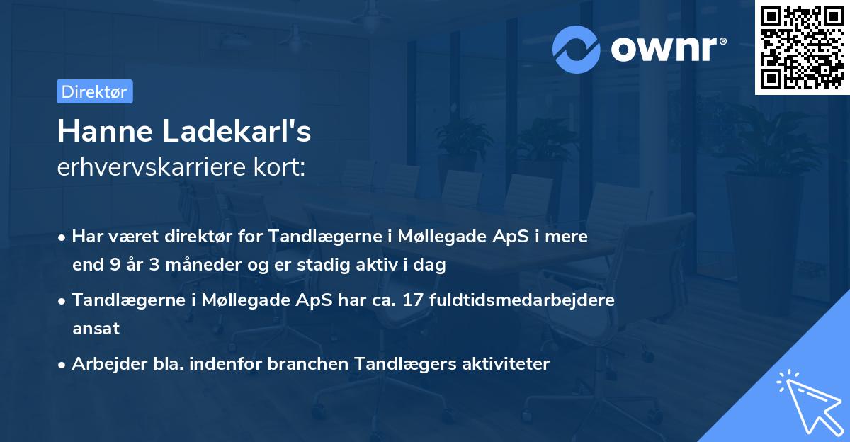 Hanne Ladekarl's erhvervskarriere kort