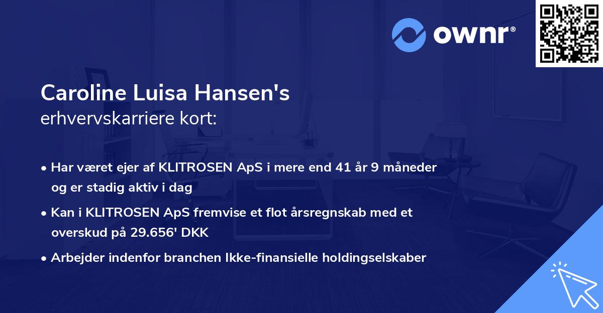 Caroline Luisa Hansen's erhvervskarriere kort