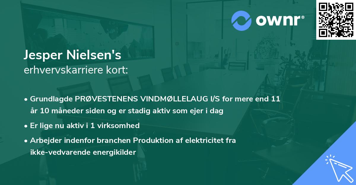 Jesper Nielsen's erhvervskarriere kort