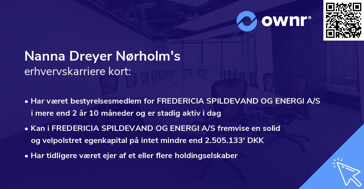 Nanna Dreyer Nørholm's erhvervskarriere kort