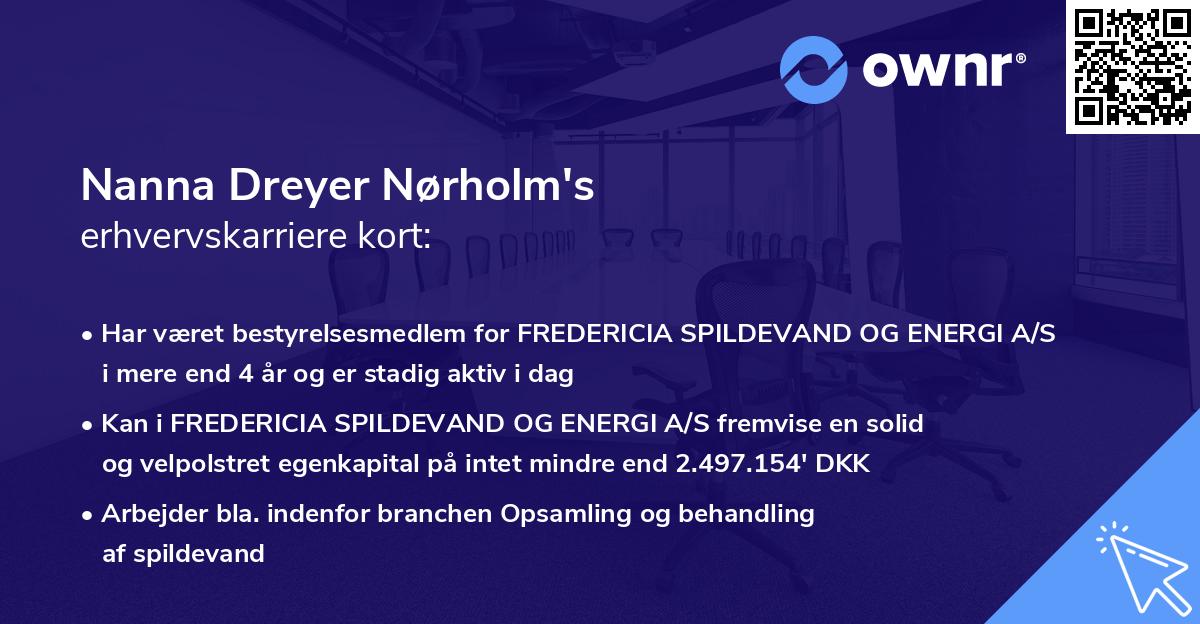 Nanna Dreyer Nørholm's erhvervskarriere kort