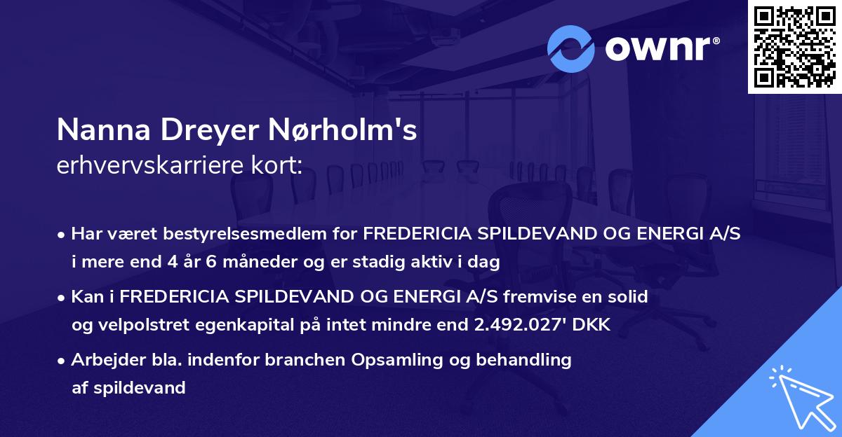 Nanna Dreyer Nørholm's erhvervskarriere kort