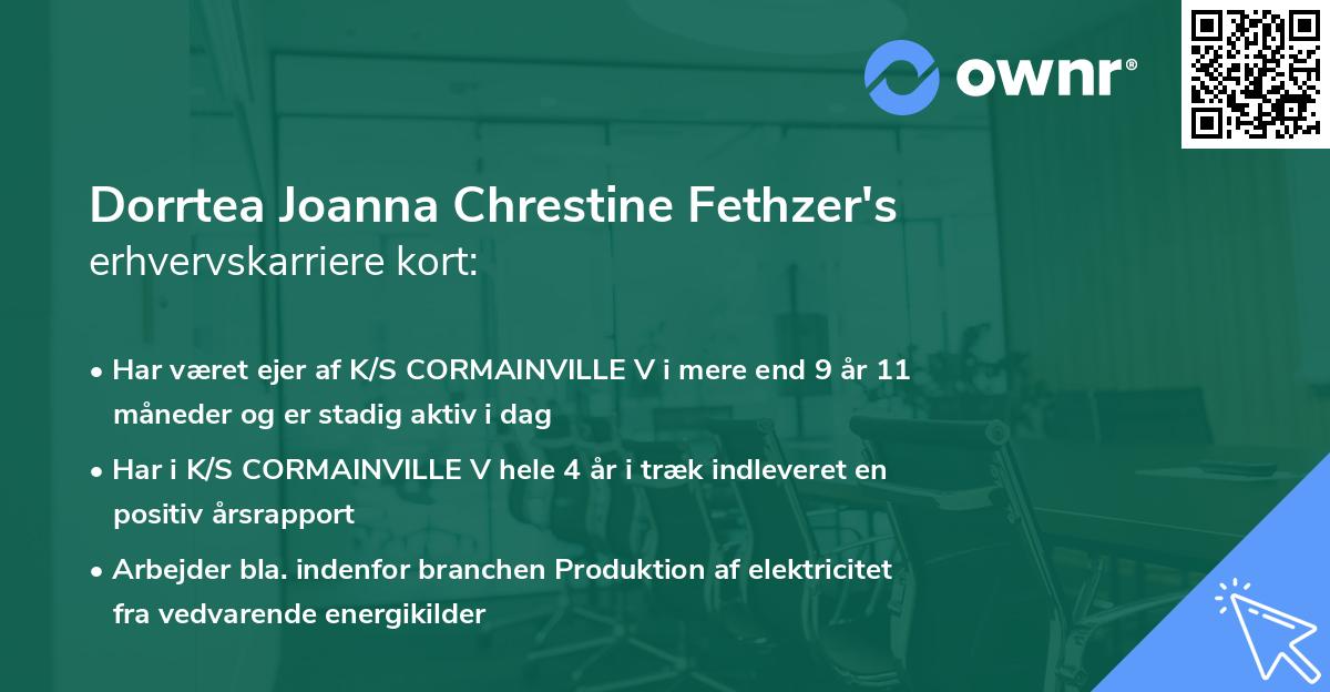 Dorrtea Joanna Chrestine Fethzer's erhvervskarriere kort
