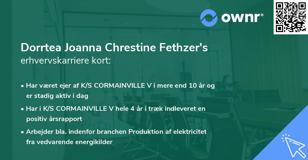 Dorrtea Joanna Chrestine Fethzer's erhvervskarriere kort