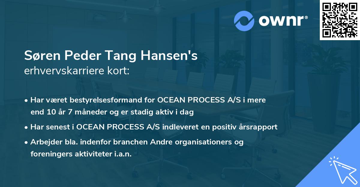 Søren Peder Tang Hansen's erhvervskarriere kort