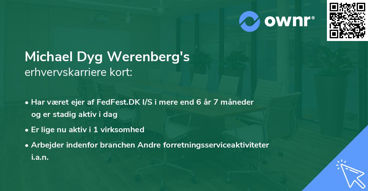 Michael Dyg Werenberg's erhvervskarriere kort