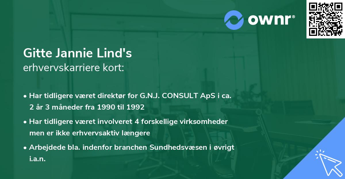 Gitte Jannie Lind's erhvervskarriere kort