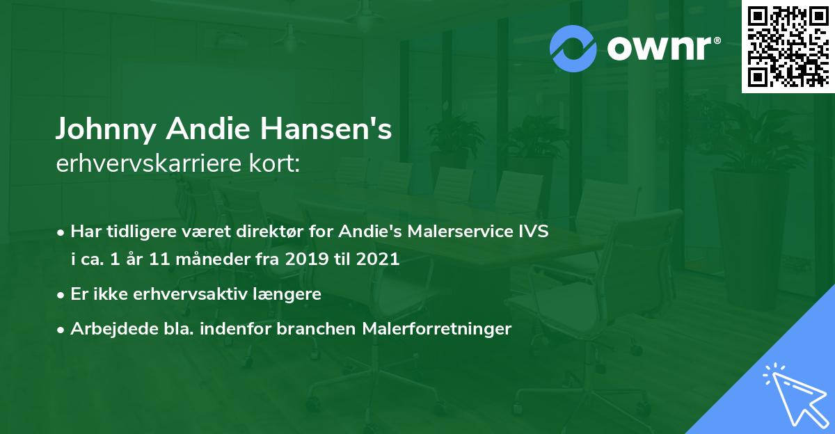 Johnny Andie Hansen's erhvervskarriere kort