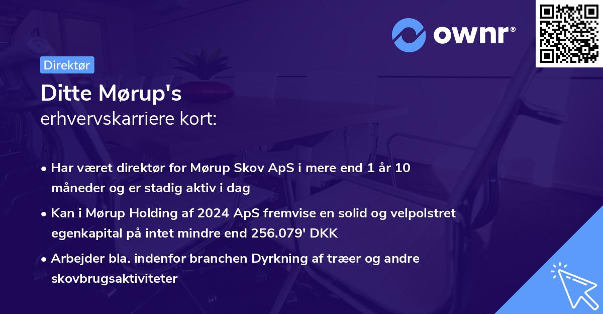 Ditte Mørup's erhvervskarriere kort