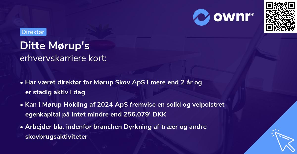 Ditte Mørup's erhvervskarriere kort