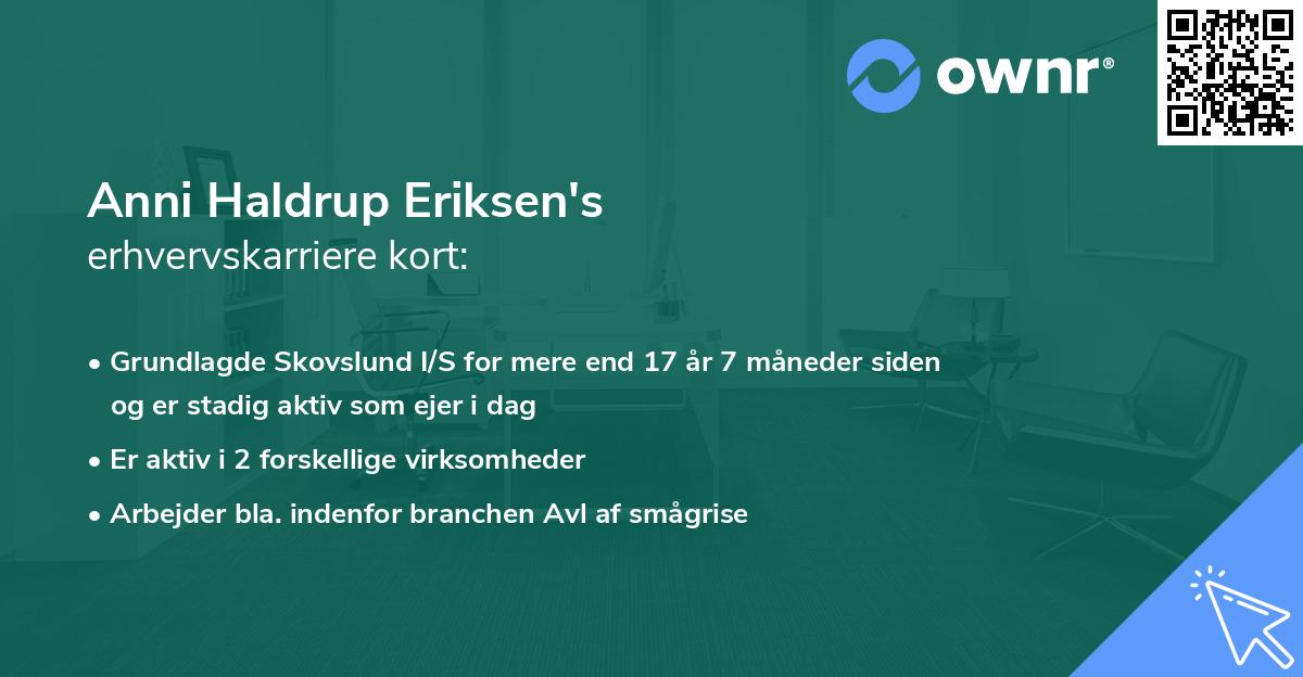 Anni Haldrup Eriksen's erhvervskarriere kort