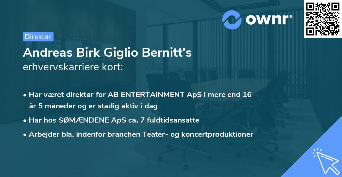 Andreas Birk Giglio Bernitt's erhvervskarriere kort