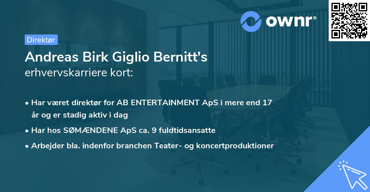Andreas Birk Giglio Bernitt's erhvervskarriere kort