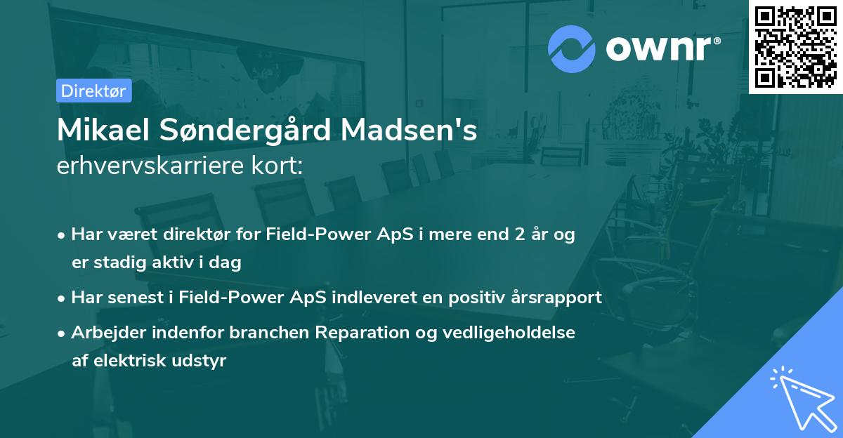 Mikael Søndergård Madsen's erhvervskarriere kort