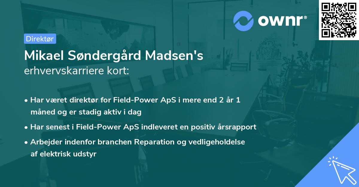 Mikael Søndergård Madsen's erhvervskarriere kort