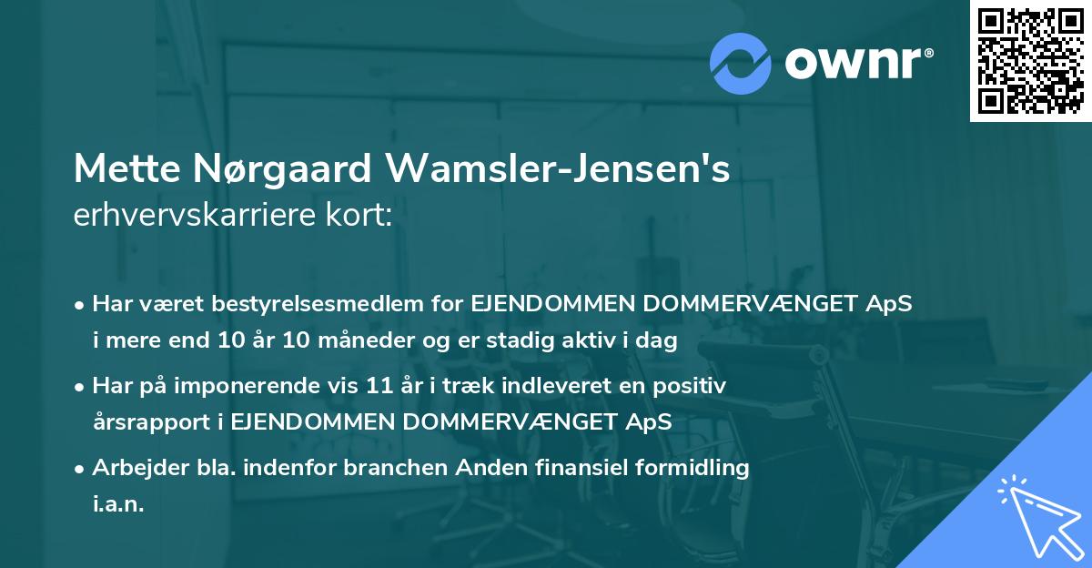 Mette Nørgaard Wamsler-Jensen's erhvervskarriere kort