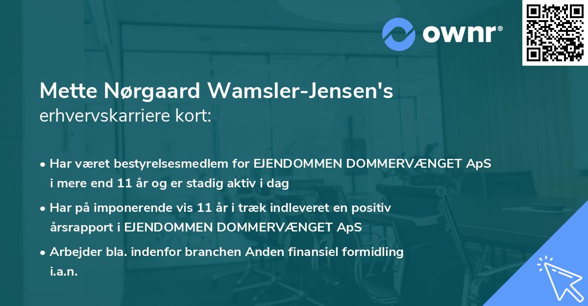Mette Nørgaard Wamsler-Jensen's erhvervskarriere kort