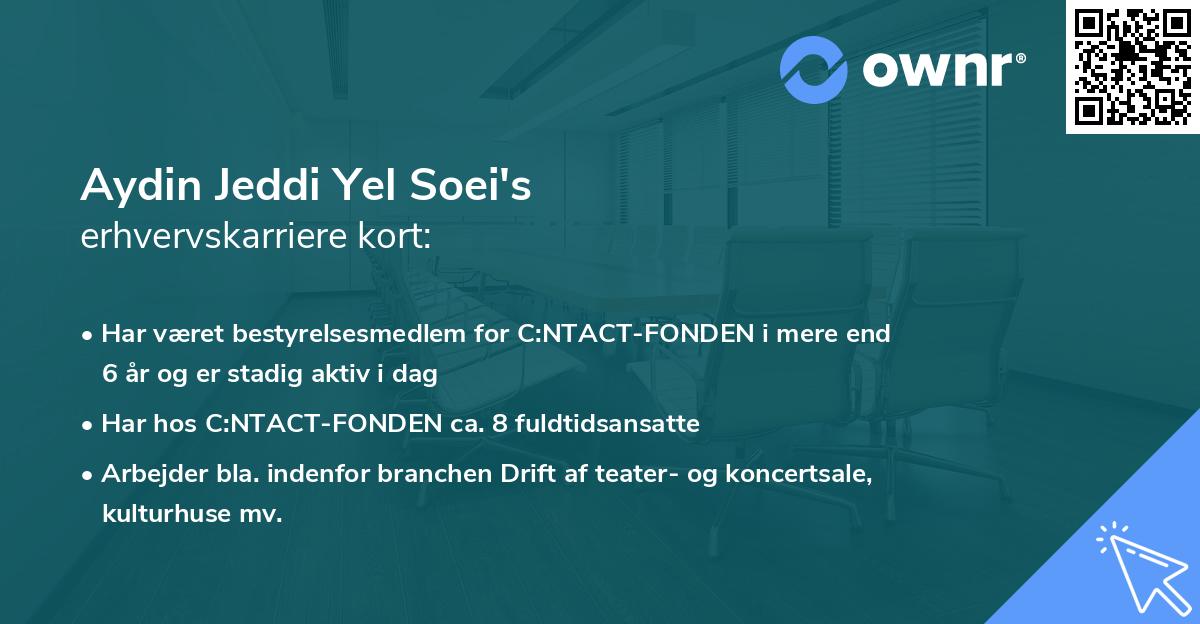 Aydin Jeddi Yel Soei's erhvervskarriere kort