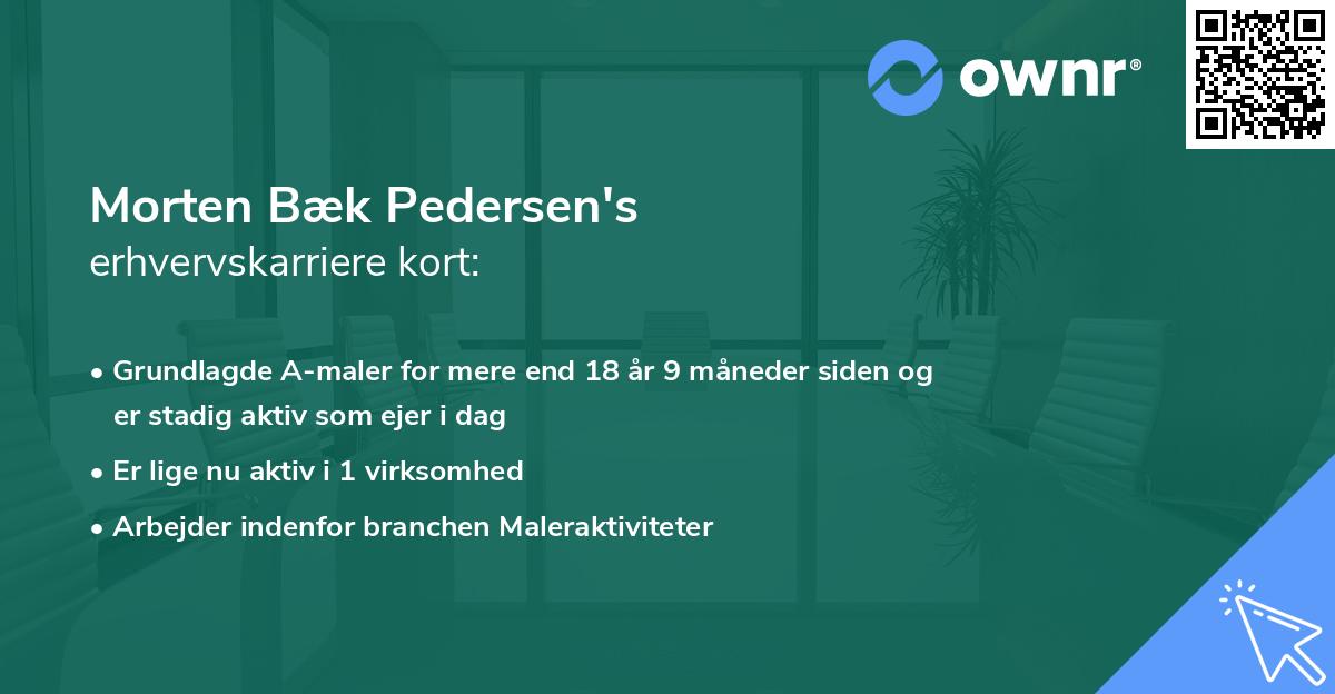 Morten Bæk Pedersen's erhvervskarriere kort