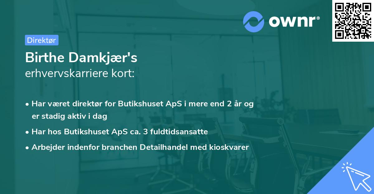 Birthe Damkjær's erhvervskarriere kort