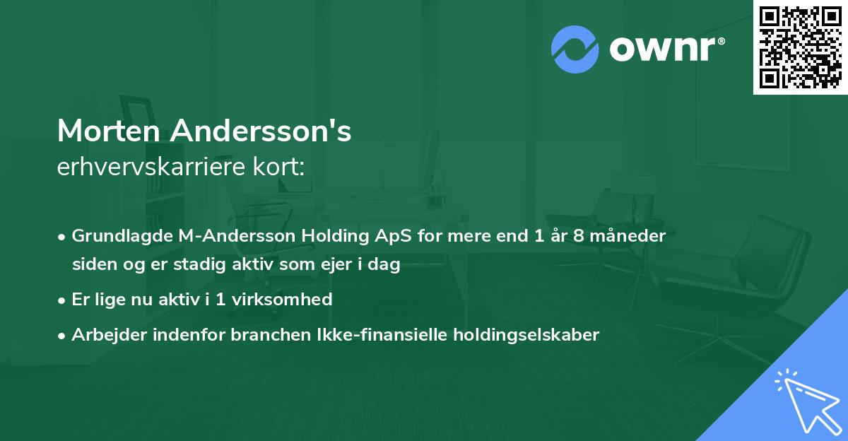 Morten Andersson's erhvervskarriere kort