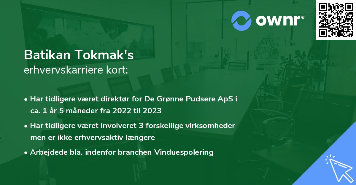 Batikan Tokmak's erhvervskarriere kort