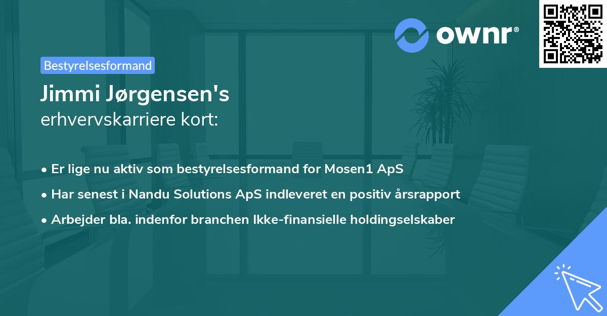 Jimmi Jørgensen's erhvervskarriere kort