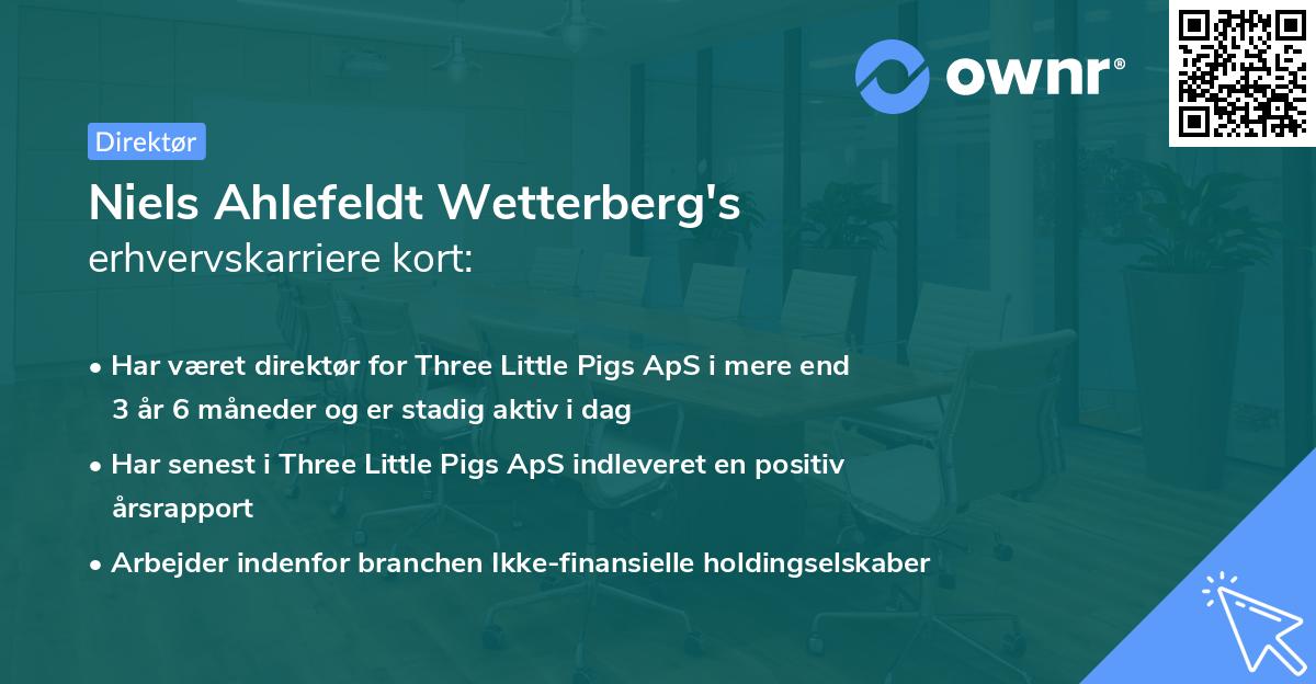 Niels Ahlefeldt Wetterberg's erhvervskarriere kort