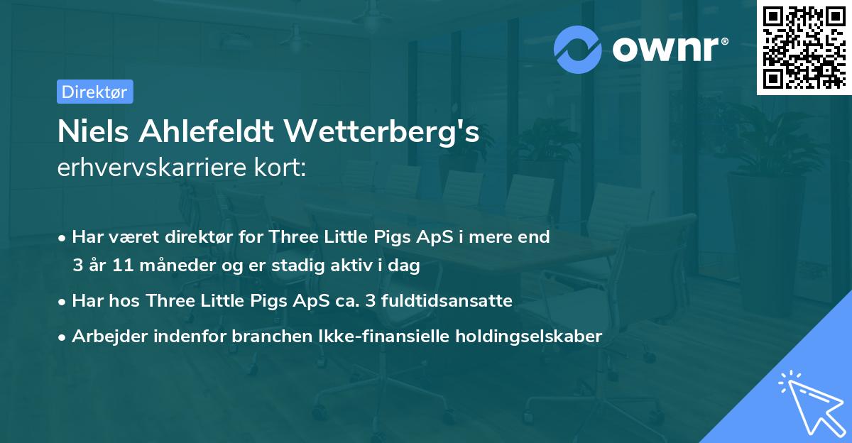 Niels Ahlefeldt Wetterberg's erhvervskarriere kort