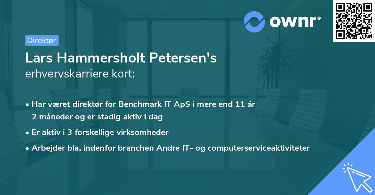 Lars Hammersholt Petersen's erhvervskarriere kort
