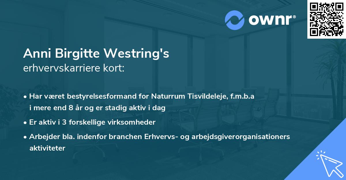 Anni Birgitte Westring's erhvervskarriere kort