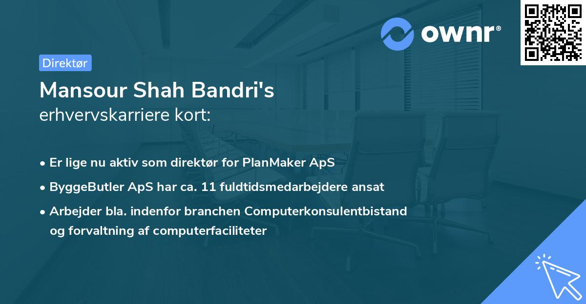 Mansour Shah Bandri's erhvervskarriere kort