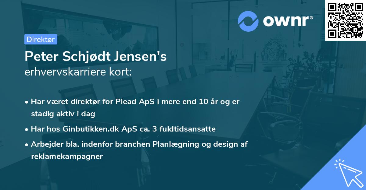 Peter Schjødt Jensen's erhvervskarriere kort