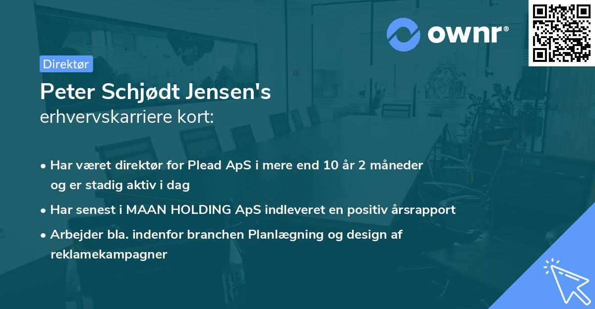 Peter Schjødt Jensen's erhvervskarriere kort