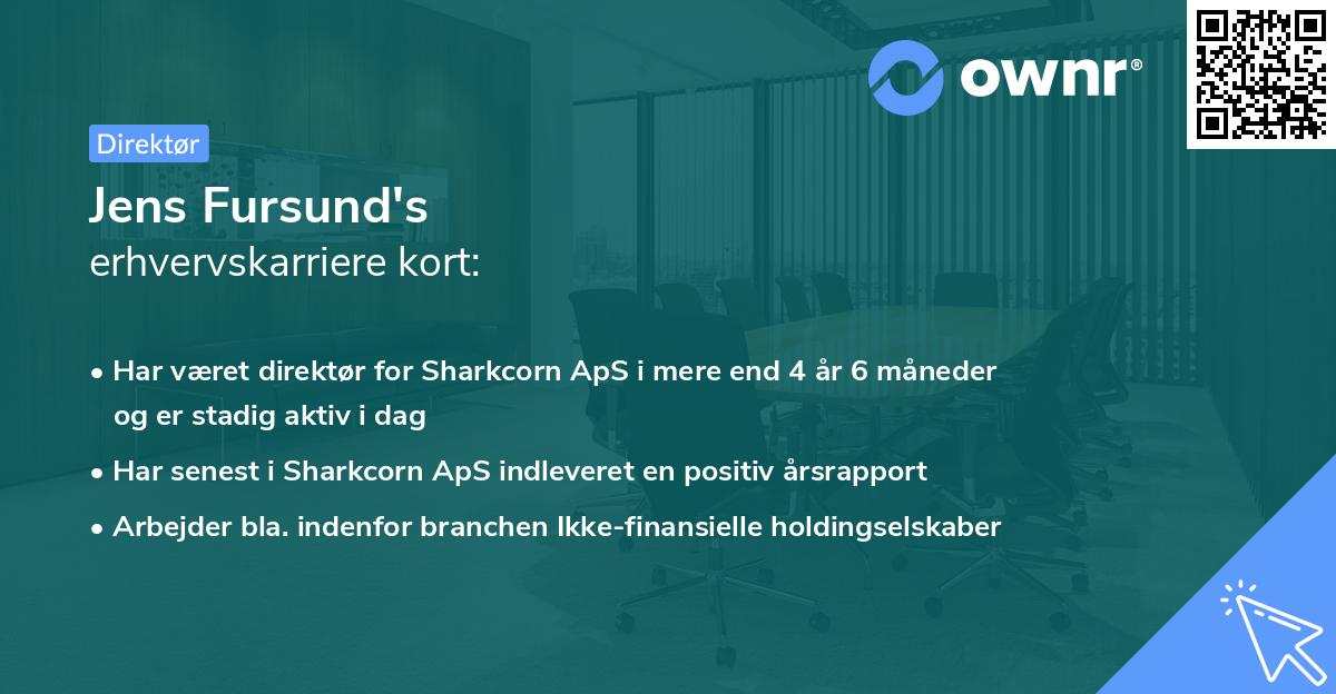 Jens Fursund's erhvervskarriere kort