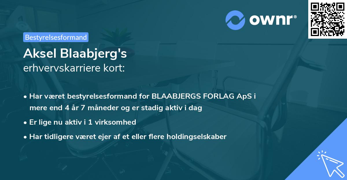 Aksel Blaabjerg's erhvervskarriere kort