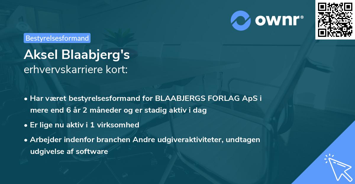 Aksel Blaabjerg's erhvervskarriere kort