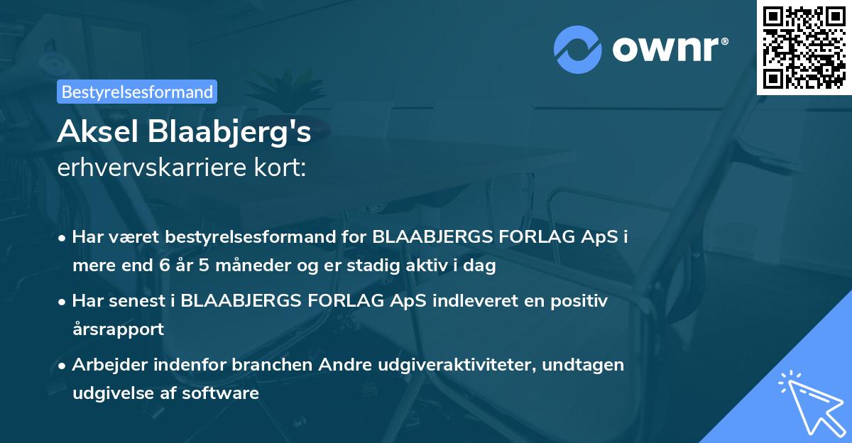 Aksel Blaabjerg's erhvervskarriere kort
