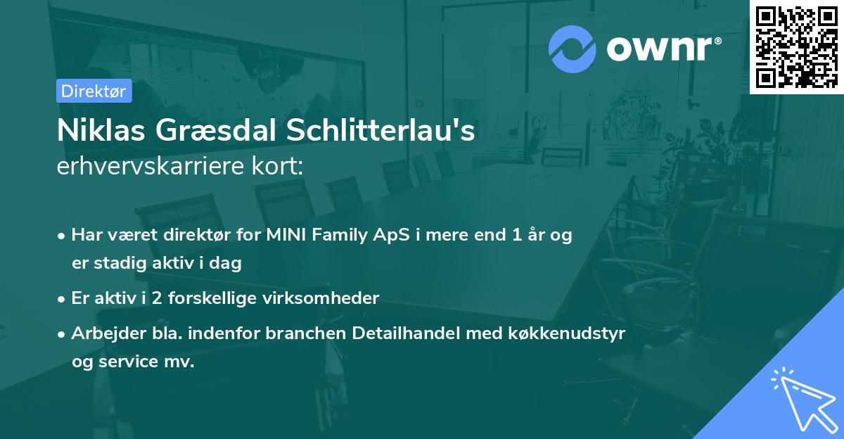Niklas Græsdal Schlitterlau's erhvervskarriere kort