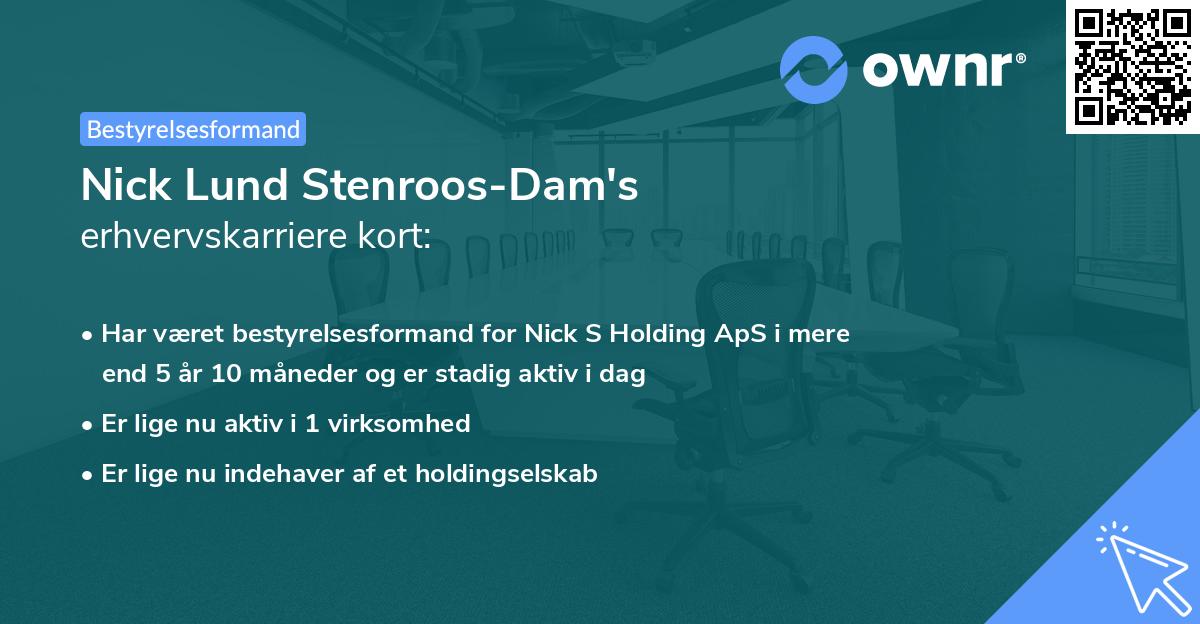 Nick Lund Stenroos-Dam's erhvervskarriere kort