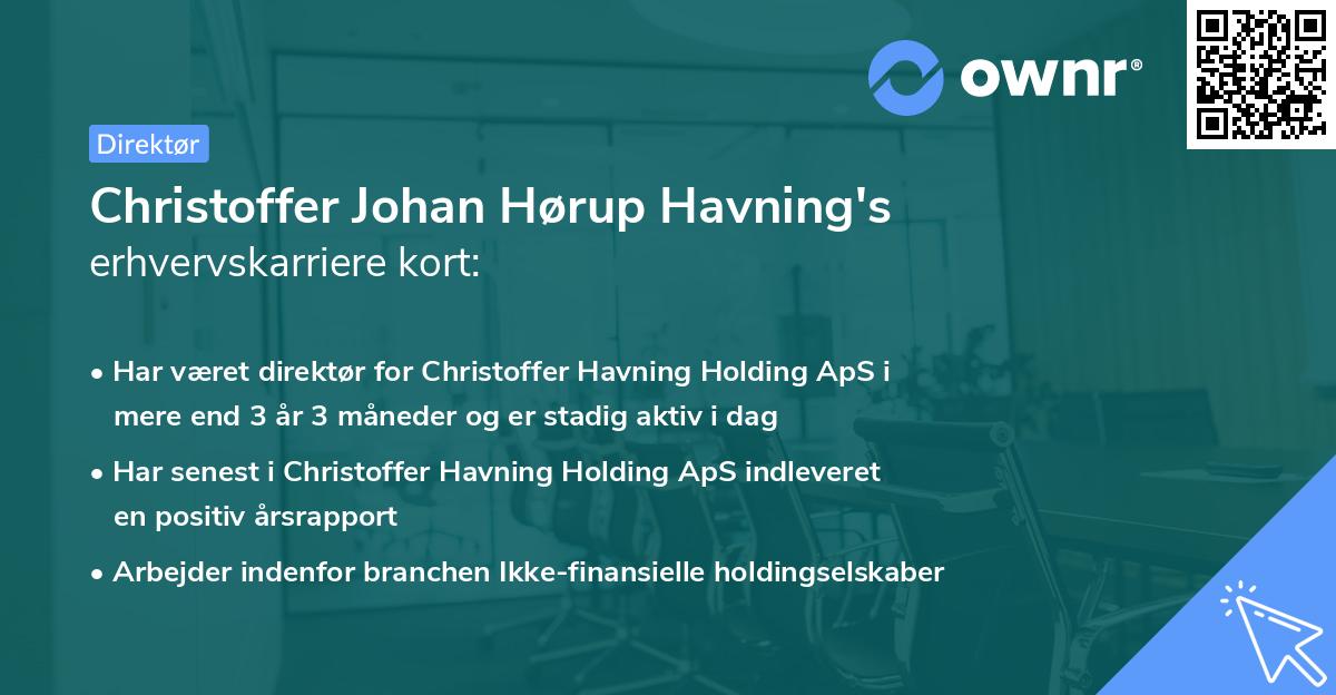 Christoffer Johan Hørup Havning's erhvervskarriere kort