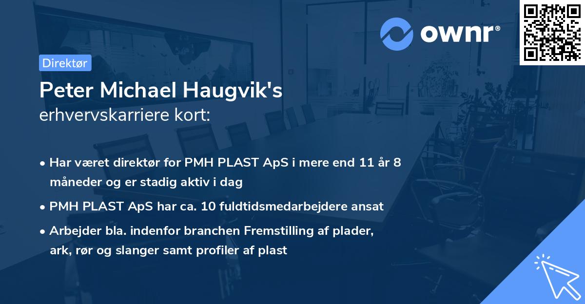Peter Michael Haugvik's erhvervskarriere kort