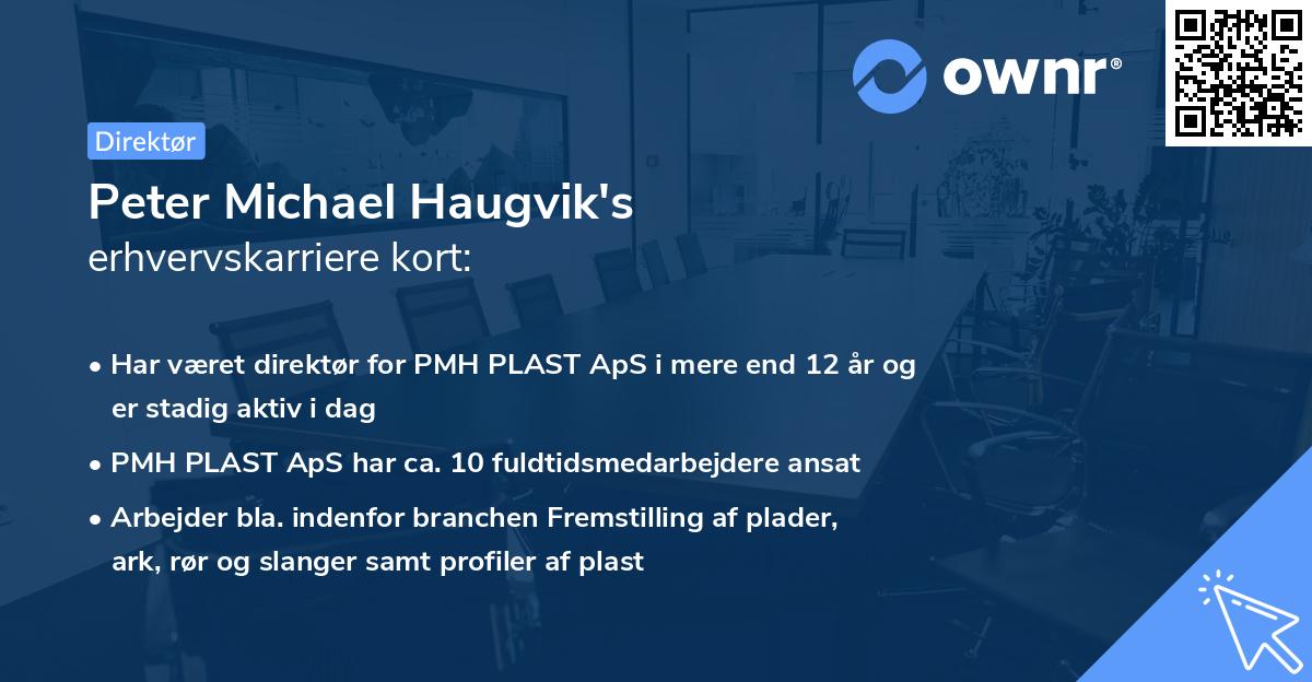 Peter Michael Haugvik's erhvervskarriere kort