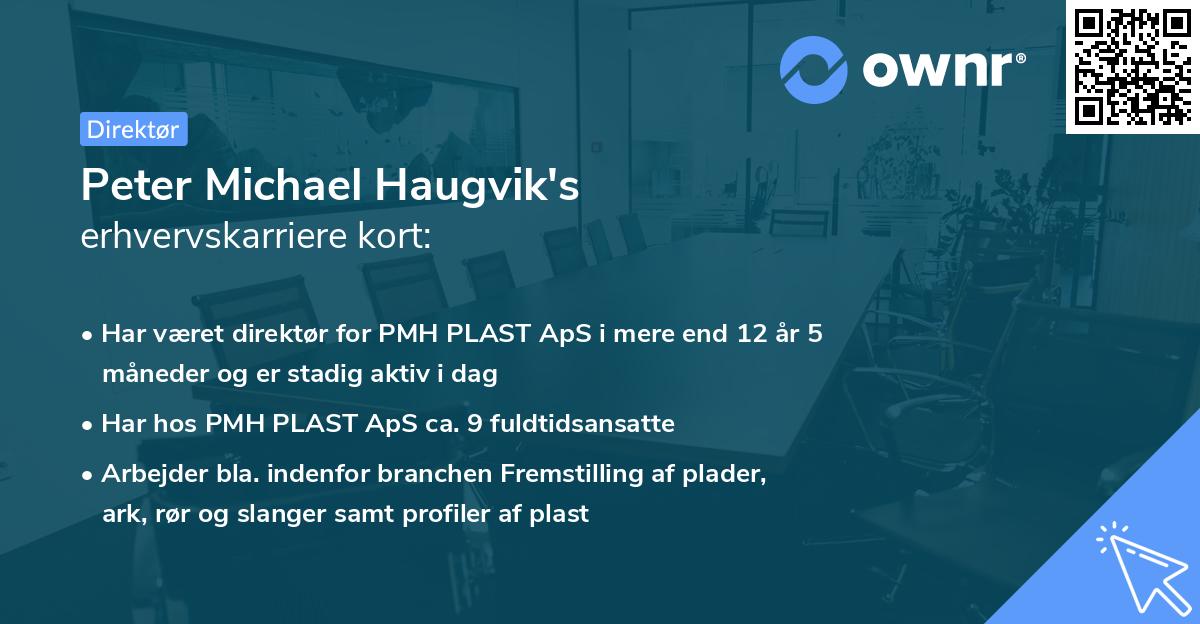 Peter Michael Haugvik's erhvervskarriere kort