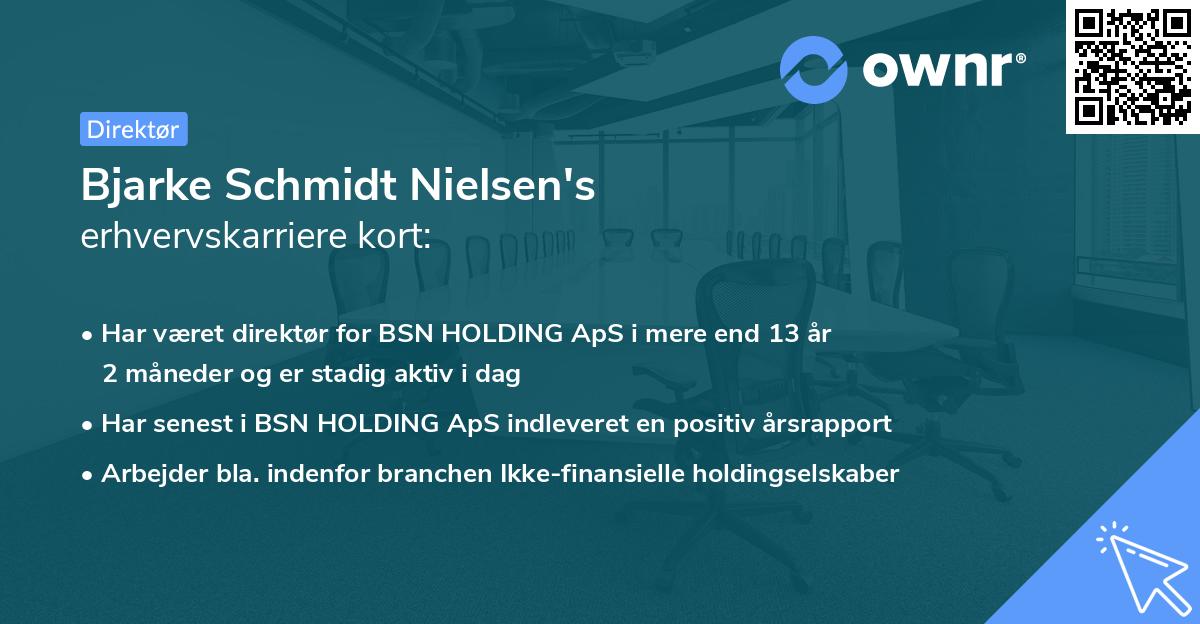 Bjarke Schmidt Nielsen's erhvervskarriere kort
