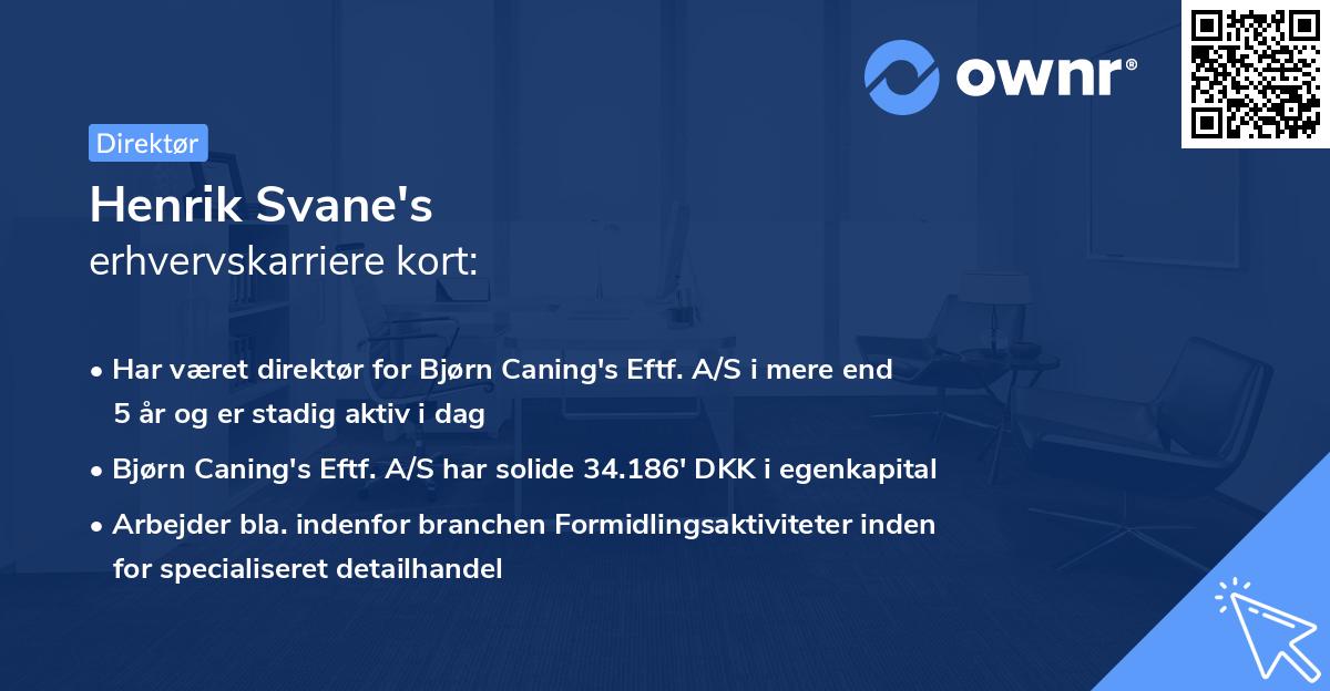 Henrik Svane's erhvervskarriere kort