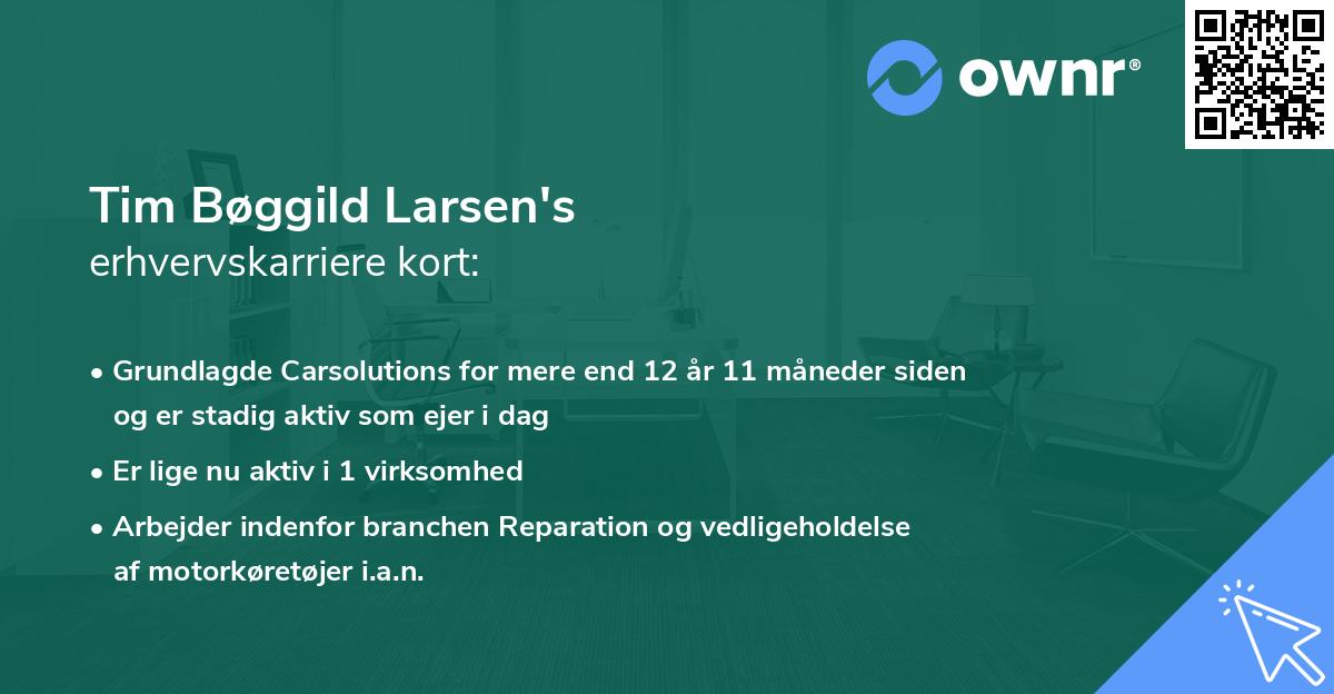 Tim Bøggild Larsen's erhvervskarriere kort