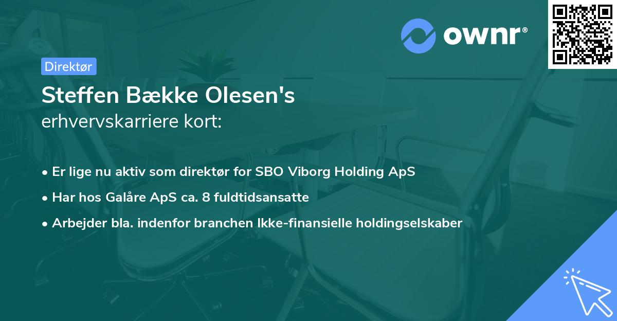 Steffen Bække Olesen's erhvervskarriere kort