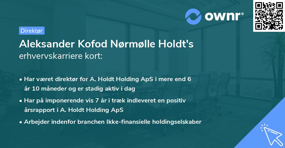 Aleksander Kofod Nørmølle Holdt's erhvervskarriere kort